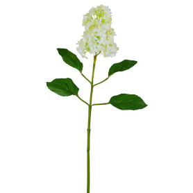 FIORE LILLA BIANCO