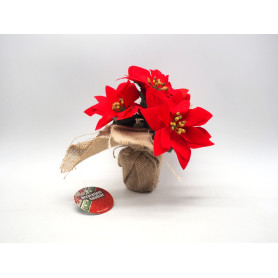 PIANTA STELLA NATALE ROSSA H.19CM