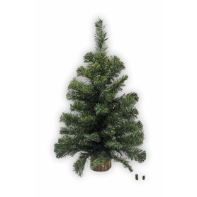 ALBERO PINO H54