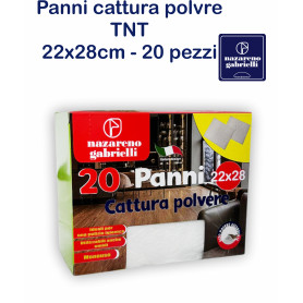 PANNI CATTURA POLVERE TNT 22X28CM 20PZ