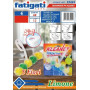 KLEANET WC 50GR LIMONE