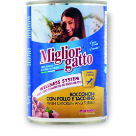 M.GATTO BOCCONI POL/TAC GR405